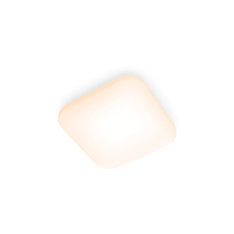 Mauve CL270 EC SQ 12W 27K W HV 06